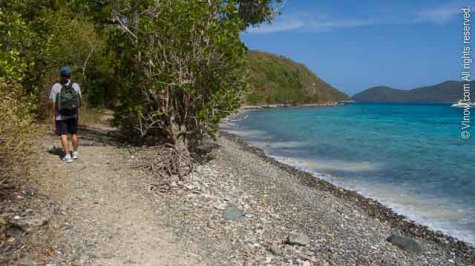 Leinster Bay Trail